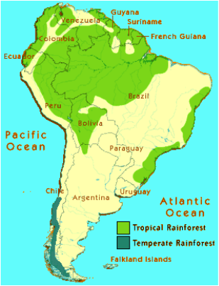Meteorology and Geography - Tropical Rainforests of South America